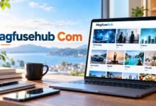 Magfusehub Com